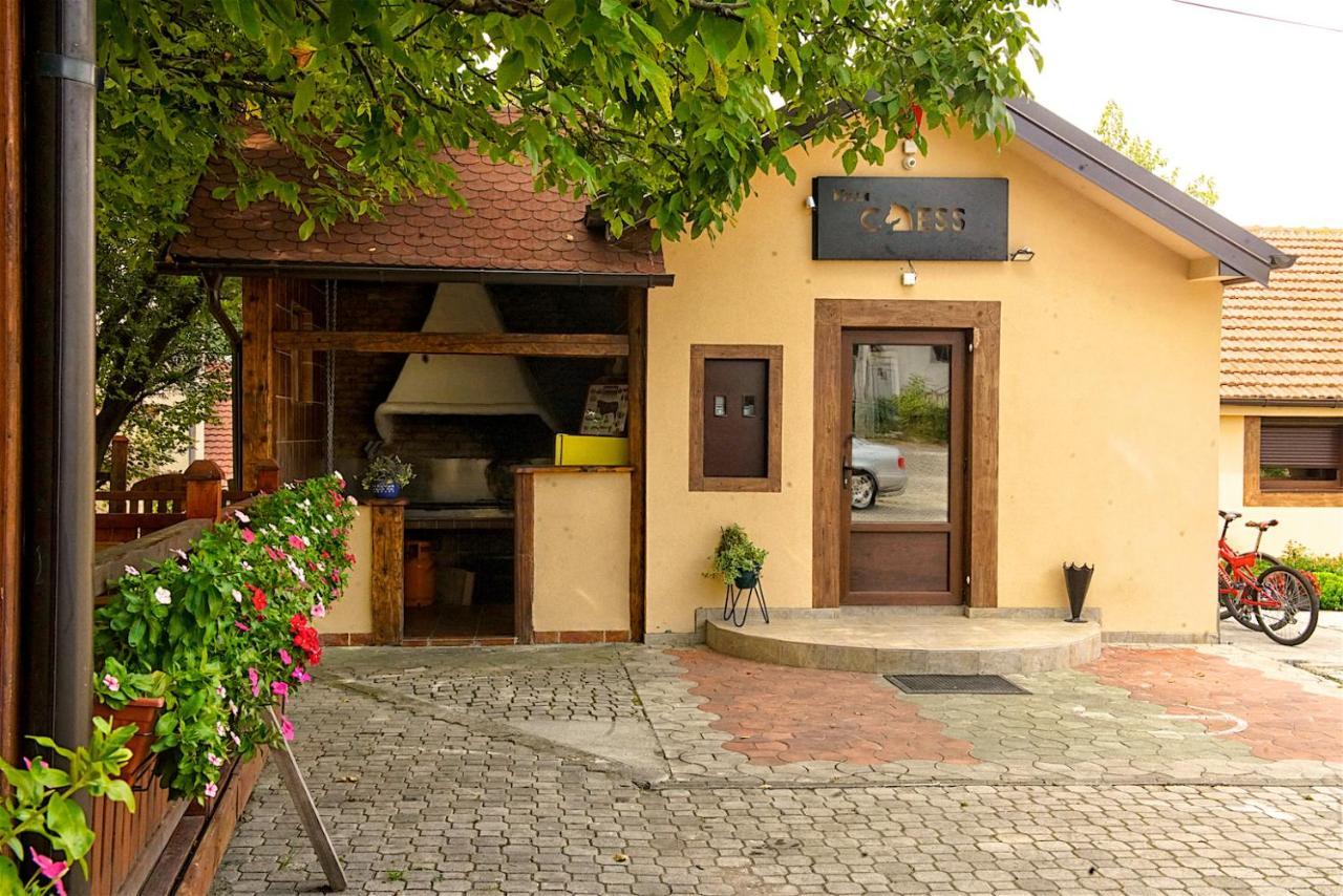 Vila Chess Bělehrad Exteriér fotografie